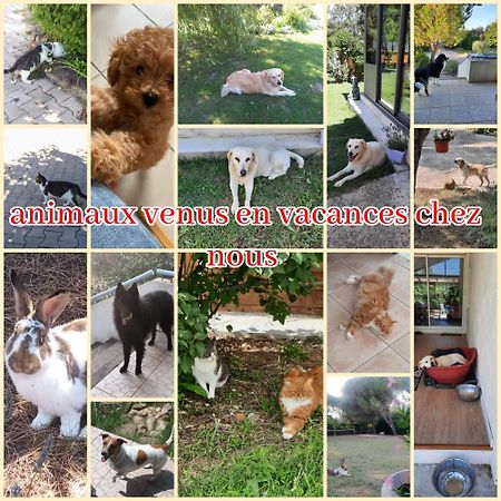 Gite Ma Vie La 3 Etoiles, Jacuzzi, Animaux Acceptes Saint-Julien-de-Cassagnas Kültér fotó
