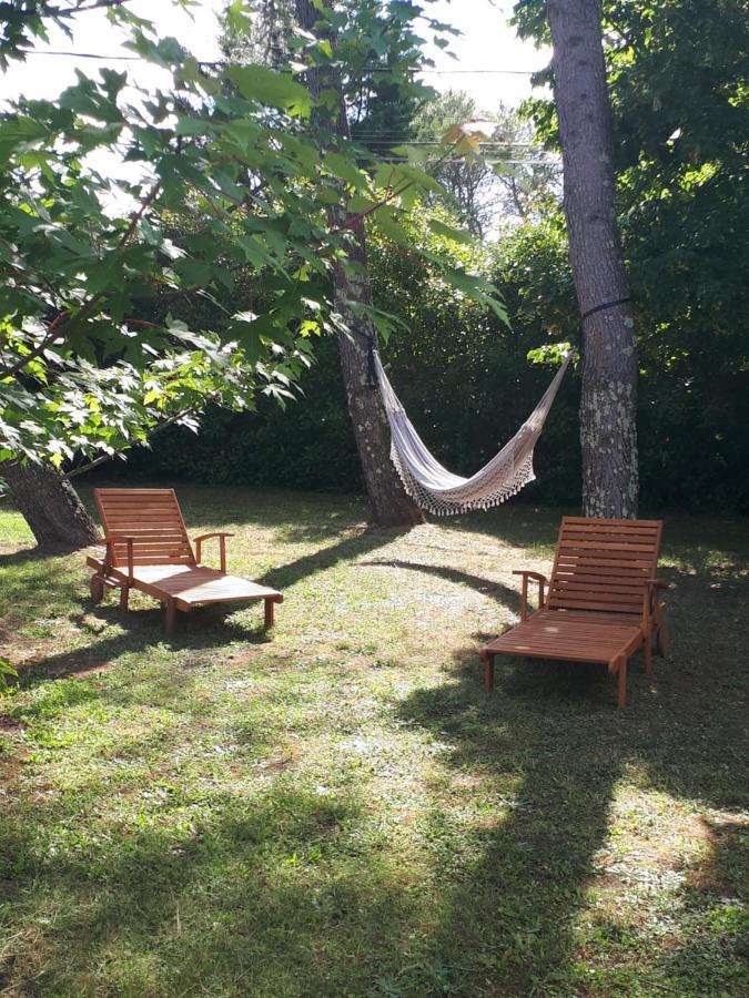 Gite Ma Vie La 3 Etoiles, Jacuzzi, Animaux Acceptes Saint-Julien-de-Cassagnas Kültér fotó