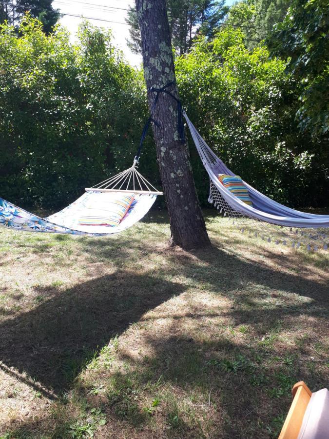 Gite Ma Vie La 3 Etoiles, Jacuzzi, Animaux Acceptes Saint-Julien-de-Cassagnas Kültér fotó