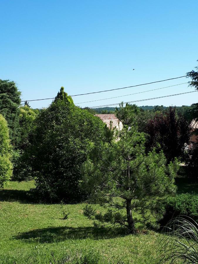 Gite Ma Vie La 3 Etoiles, Jacuzzi, Animaux Acceptes Saint-Julien-de-Cassagnas Kültér fotó